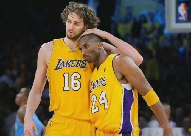 这些财务 这些财务