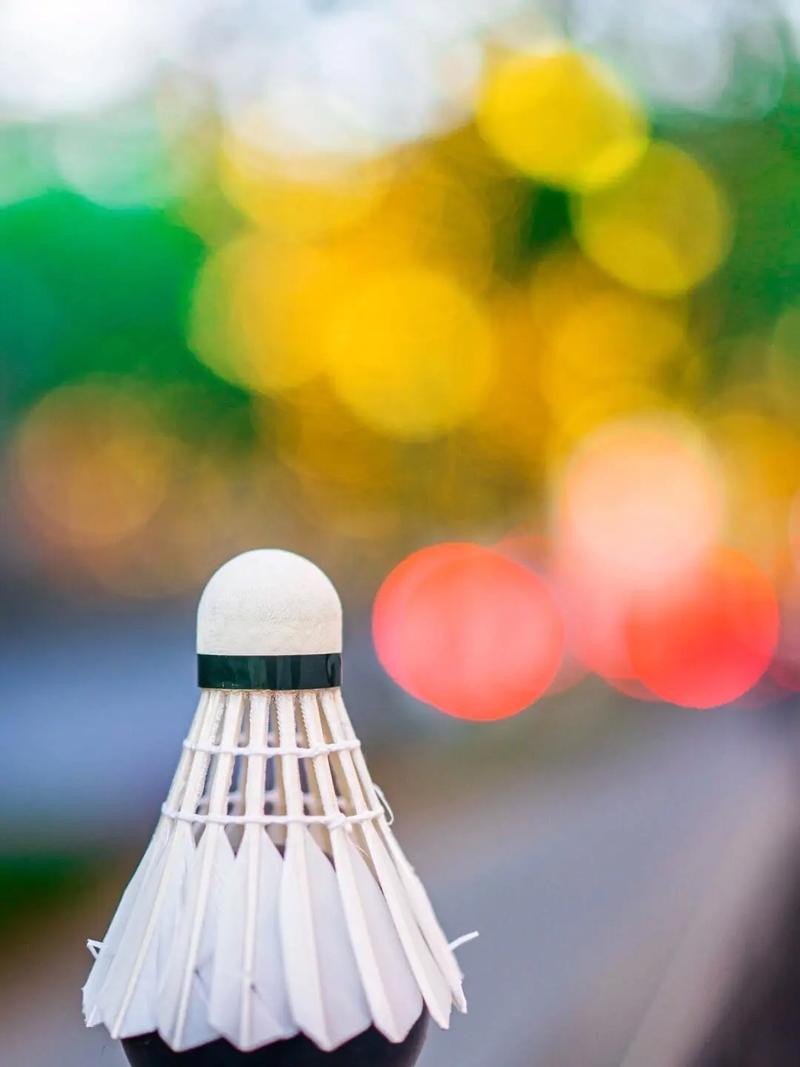 的吸引力 的吸引力